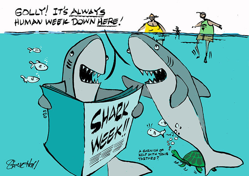 Editorial cartoons