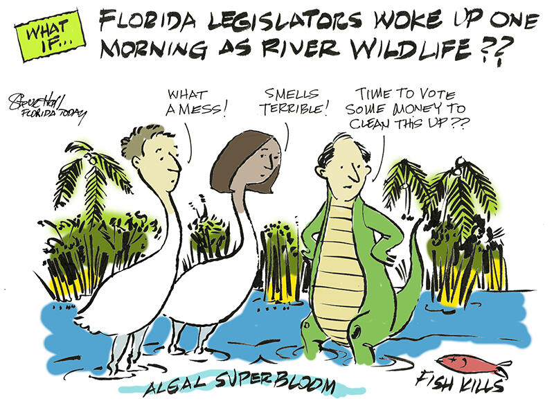 Editorial cartoons