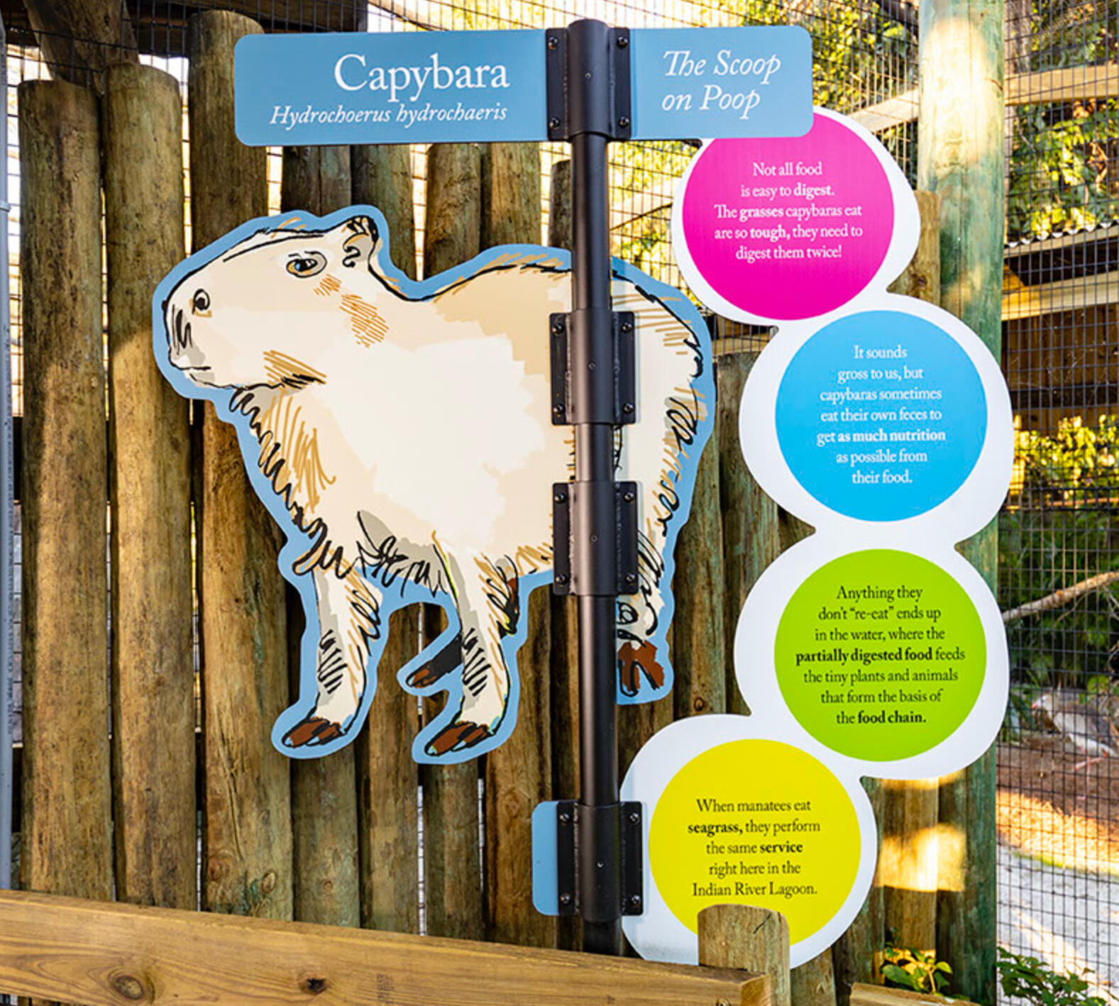 Signing and donor commemoration